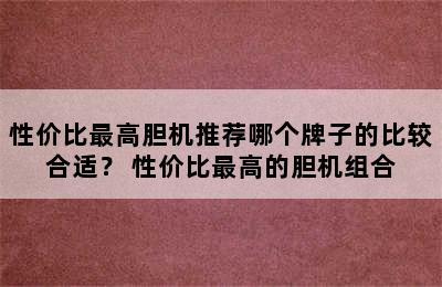 性价比最高胆机推荐哪个牌子的比较合适？ 性价比最高的胆机组合